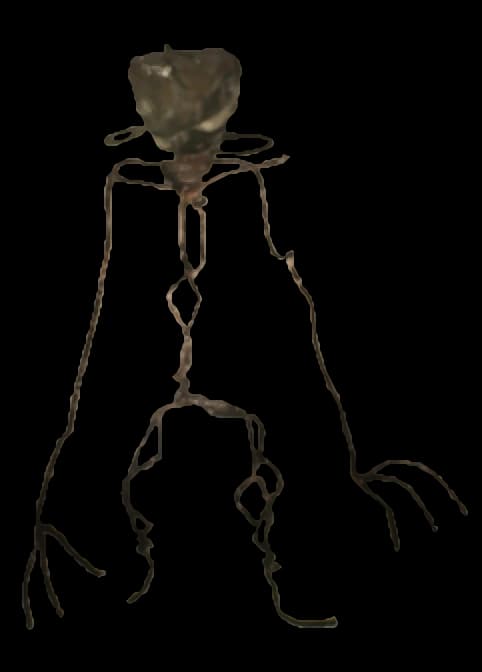 Current Bacteria entity model